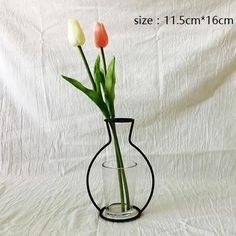 three tulips are in a vase on a white background with the size 15cm / 17cm