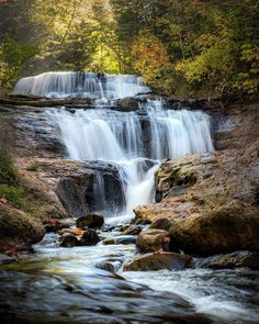 a small waterfall in the middle of a forest with rocks and leaves on it's sides