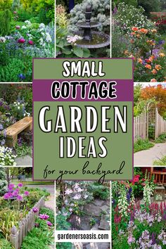 Small Cottage Garden Ideas For Your Backyard Timeless Cottage, Lush Backyard