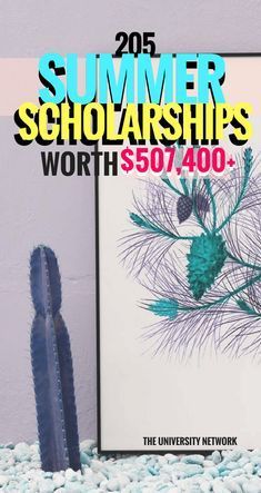 a poster with the words summer scholarships worth $ 50, 000 in front of it