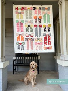 a brown dog sitting in front of a quilt hanging on a wall next to a bench