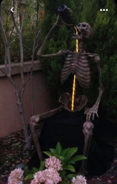 a skeleton sitting in the middle of a garden with lights coming from its back legs