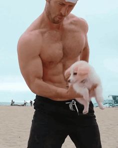 a man holding a small white dog on top of a sandy beach