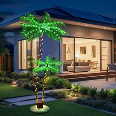 a palm tree is lit up in front of a house