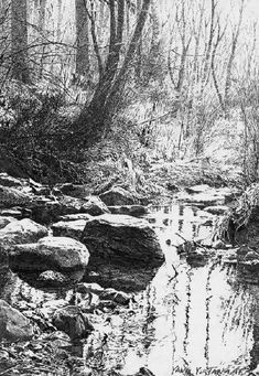 a black and white photo of a stream in the woods with rocks on both sides