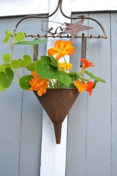 some orange and yellow flowers are in a hanging planter