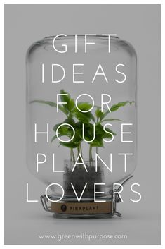 a glass jar with plants inside it and the words gift ideas for house plant lovers