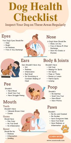 Dog Routine; Dog Medicine; Dog Health Tips; How To Pet a Dog; Dog Remedies; Dog Skin Care; Dog Dental Care; Daily Dog Care Tips Health Checklist, Meds For Dogs, Dog Remedies, Painting Concrete Porch, Dog Health Tips, Dog Health Care, Dog Facts, Concrete Porch, Dog Care Tips