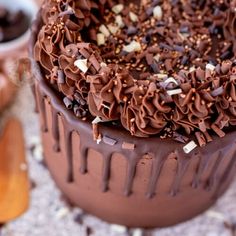 a chocolate cupcake sitting on top of a table next to a bowl of nuts