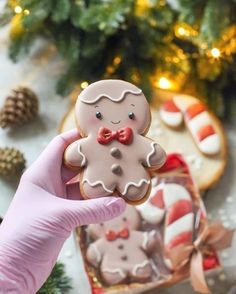 Gingerbread Cookies Decoration, Gingerbread Sugar Cookies Decorated, Christmas Cookies 2023, Gingerbread Decorated Cookies, Gingerbread Cookies Ideas, Xmas Cookies Decorated, Christmas Icing Cookies, Reindeer Cookies Decorated, Christmas Royal Icing Cookies