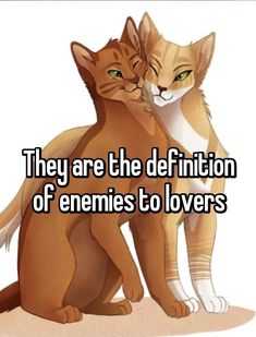 two cats hugging each other with the caption they are the definition of enemes to lovers