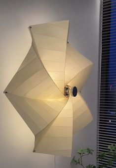 an umbrella hanging from the side of a white wall next to a potted plant