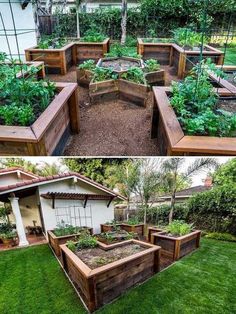 an outdoor garden with raised wooden planters and plants growing in the ground, on top of