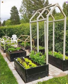 several raised garden beds with plants growing in them