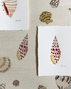 three different types of seashells are shown on the fabric, one is red and white