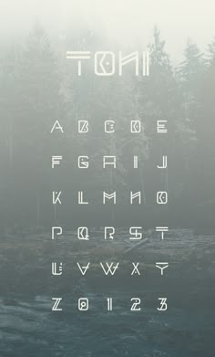 the font and numbers are all in white on a foggy day with trees behind it