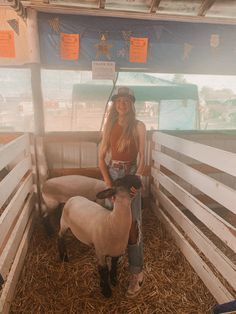 sheep showmanship western rodeo outfit Show Sheep Names, Sheep Showing Outfits, 4-h Aesthetic, Showing Livestock Hairstyles, Livestock Show Outfits