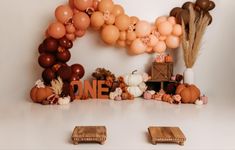 an arch made out of balloons and pumpkins sits in front of a white wall