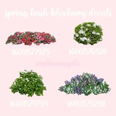 various types of flowers are shown in this image with the words spring bush bedding details