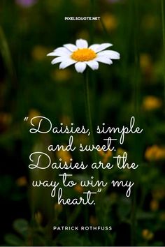 a daisy with the quote daisies simple and sweet daisies are the way to win my heart