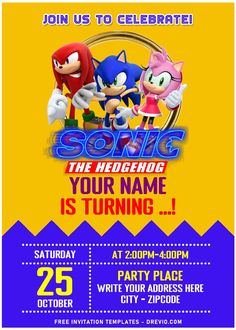 sonic the hedgehog birthday party flyer