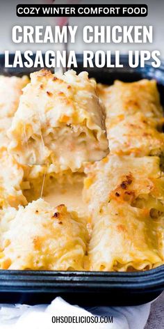 creamy chicken lasagna roll ups in a casserole dish with text overlay