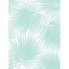 a white and blue wallpaper with palm leaves on the back ground, in shades of aqua