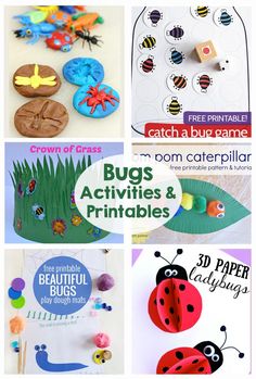 bug activities and printables for kids