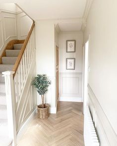 a plant in a basket sitting on the side of a wooden floor next to some stairs