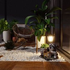 an indoor garden with plants and rocks on the ground, lit up by two small lights