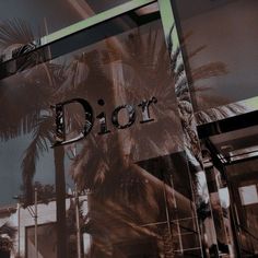 a palm tree is reflected in the glass door of a dior store front window