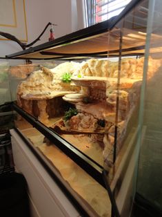 a fish tank filled with lots of different types of food in it's display case