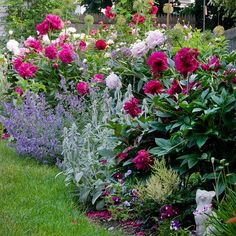 a garden filled with lots of different colored flowers