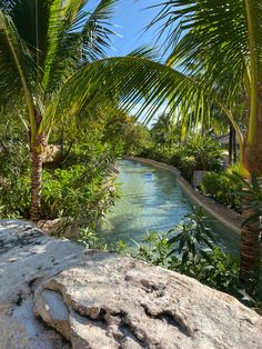 a river running through a lush green forest filled with palm tree's and rocks