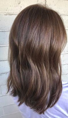 Neutral Brown Hair Color, Neutral Brown Hair, Beautiful Light Brown Hair, Honey Brown Hair Color, Medium Brown Hair Color, Cool Brown Hair, Light Brown Hair Color, Hair Levels, Beautiful Brown Hair