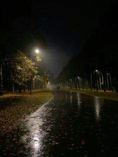 an empty street at night with the lights on and trees in the foreground lit up