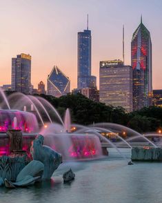 the city skyline is lit up with pink lights and water fountains in front of it