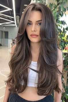 Trendy and Effortlessly Cool Hairstyles To Medium Brown Hair With Layers And Curtain Bangs, Haircut Curtain Bangs, Long Hair With Bangs, Haircuts For Long Hair