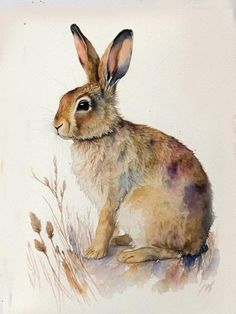 a watercolor painting of a rabbit sitting on the ground with grass in front of it