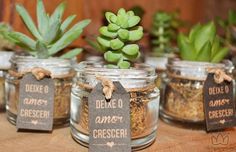 small glass jars filled with plants on top of a wooden table covered in chalkboard tags