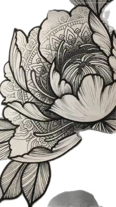 a black and white drawing of a flower