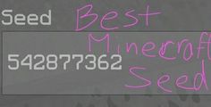 the words seed best and mineoff are written in neon pink on a gray background