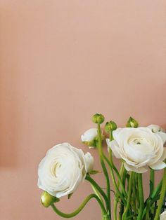 some white flowers are in a vase on a table