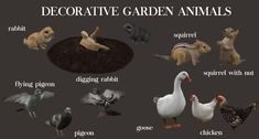 an image of some animals that are in the grass and dirt with words describing them