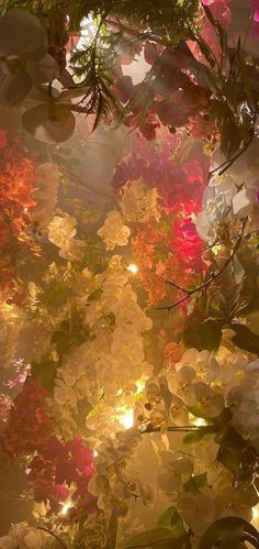 an image of some flowers that are in the air with light coming through them and on to the ground