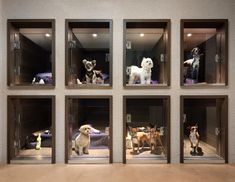 the dogs are lined up on display in the glass cased room with stuffed animals