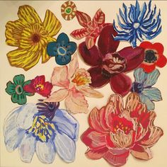 an assortment of colorful flowers on a white surface