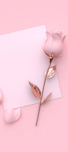 a pink rose on top of a piece of paper