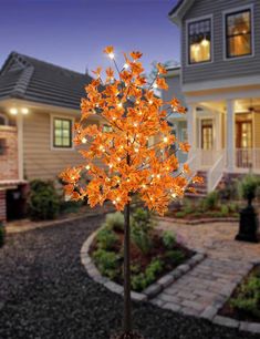 a lighted tree in front of a house