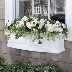 a window box with white flowers in it